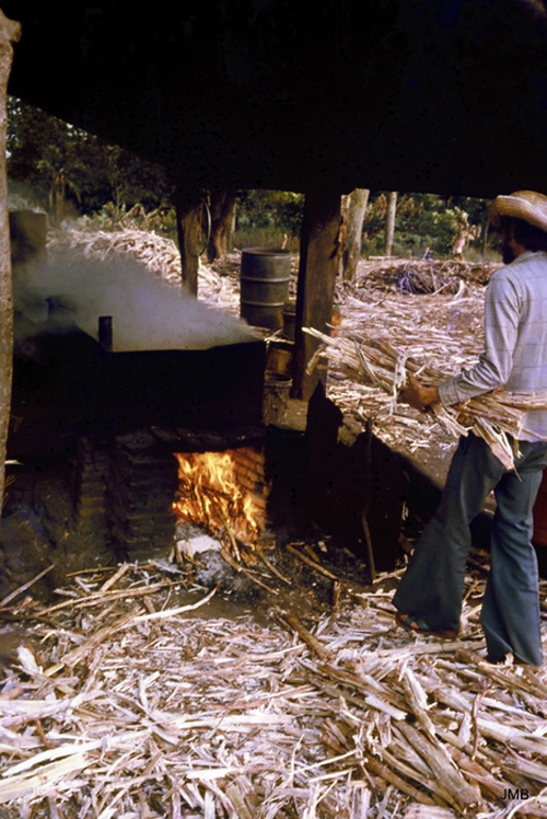 AÑO 1980 - COLOR - VIDA CAMPESINA EN PARAGUAY (JOSÉ MARÍA BLANCH)
